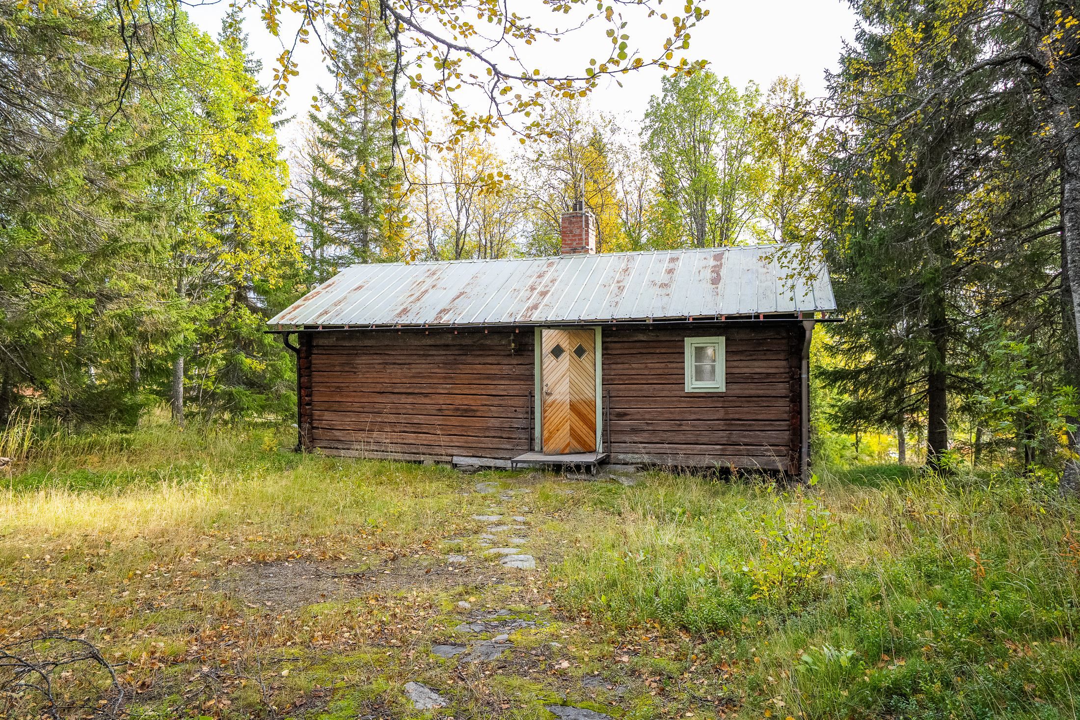 Exteriör