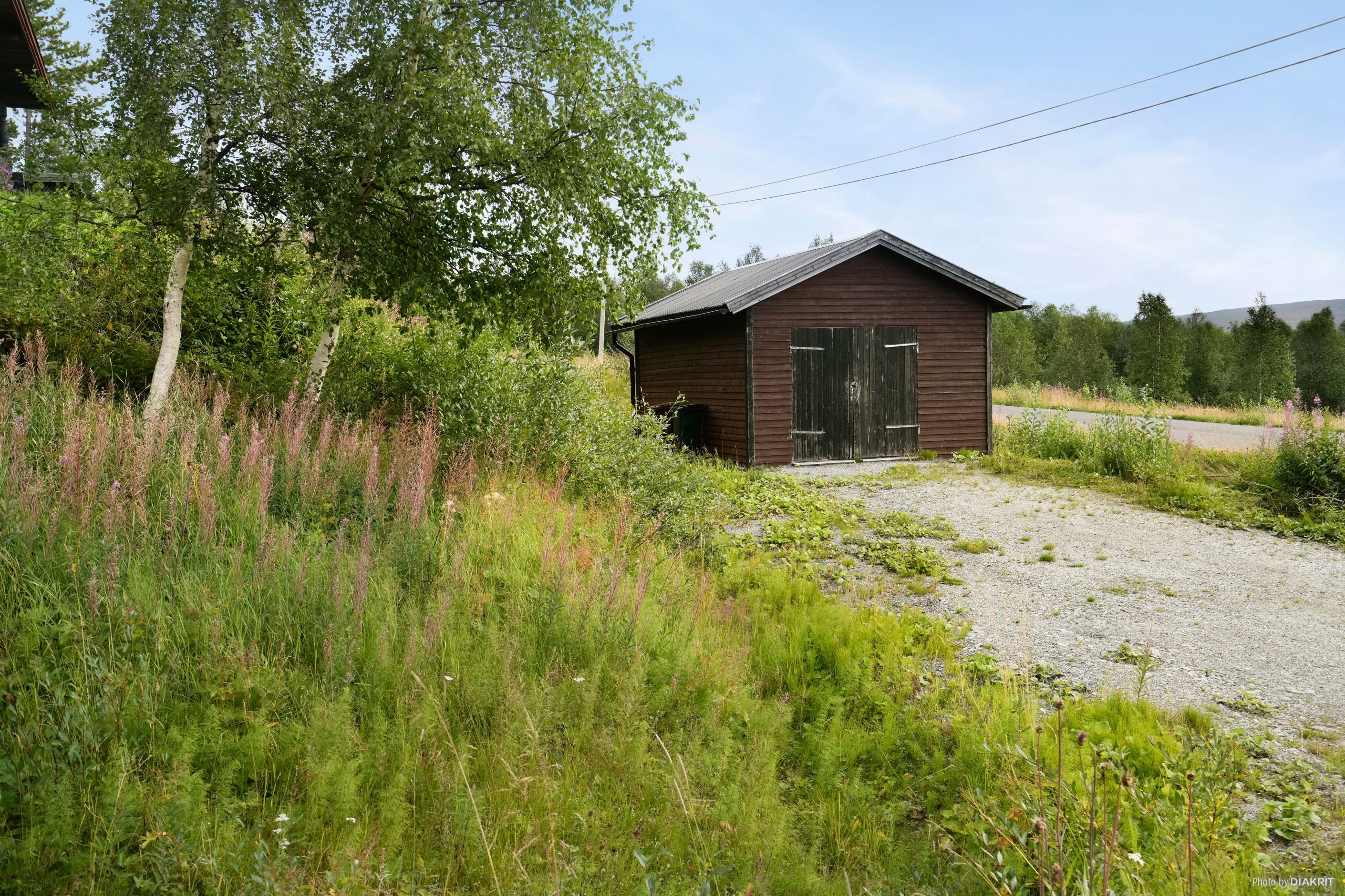 Exteriör