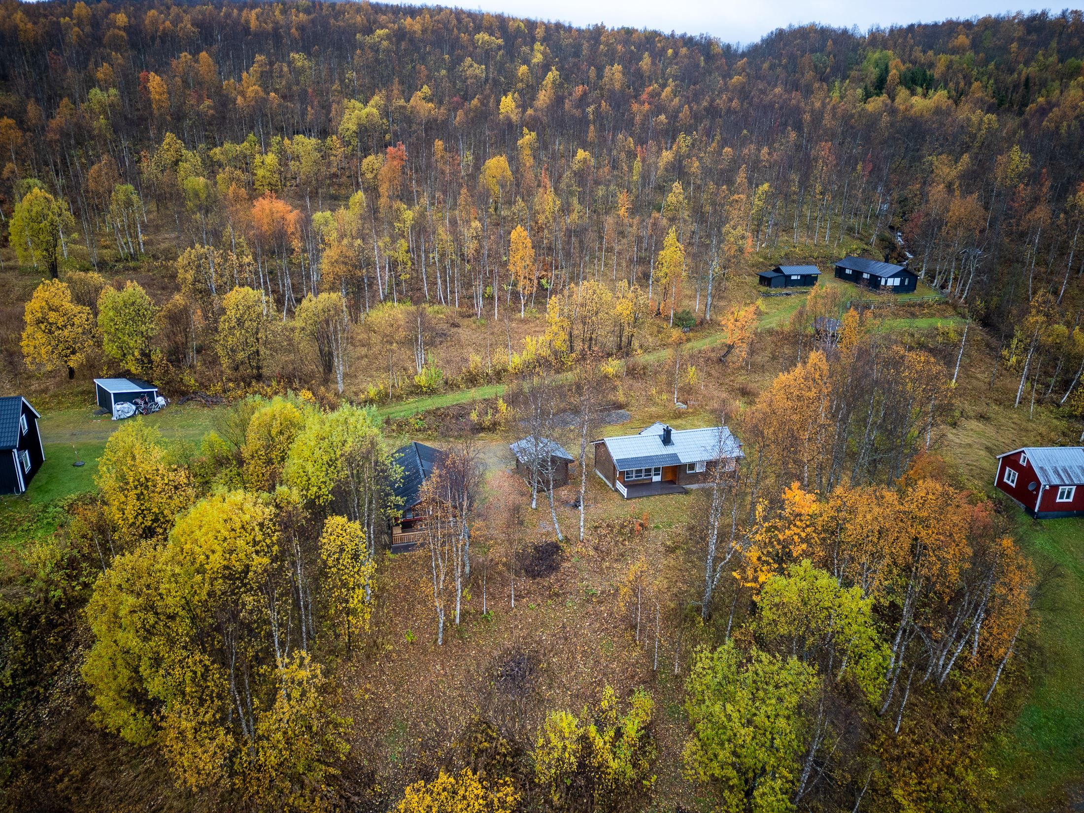 Exteriör