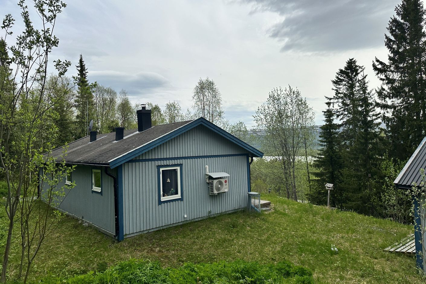Exteriör