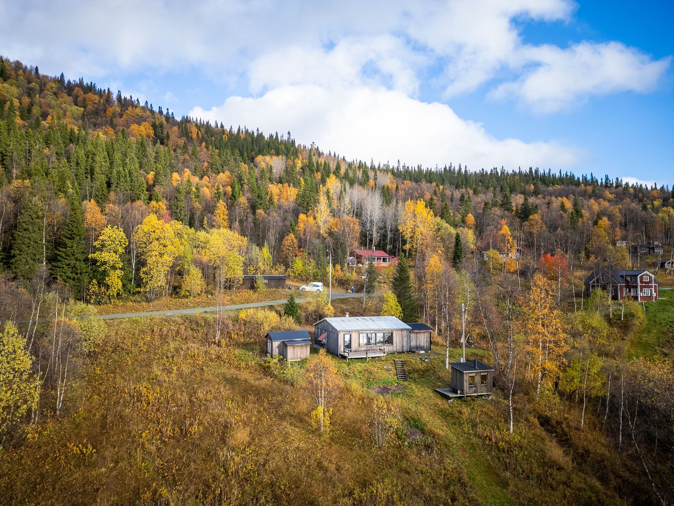 Exteriör