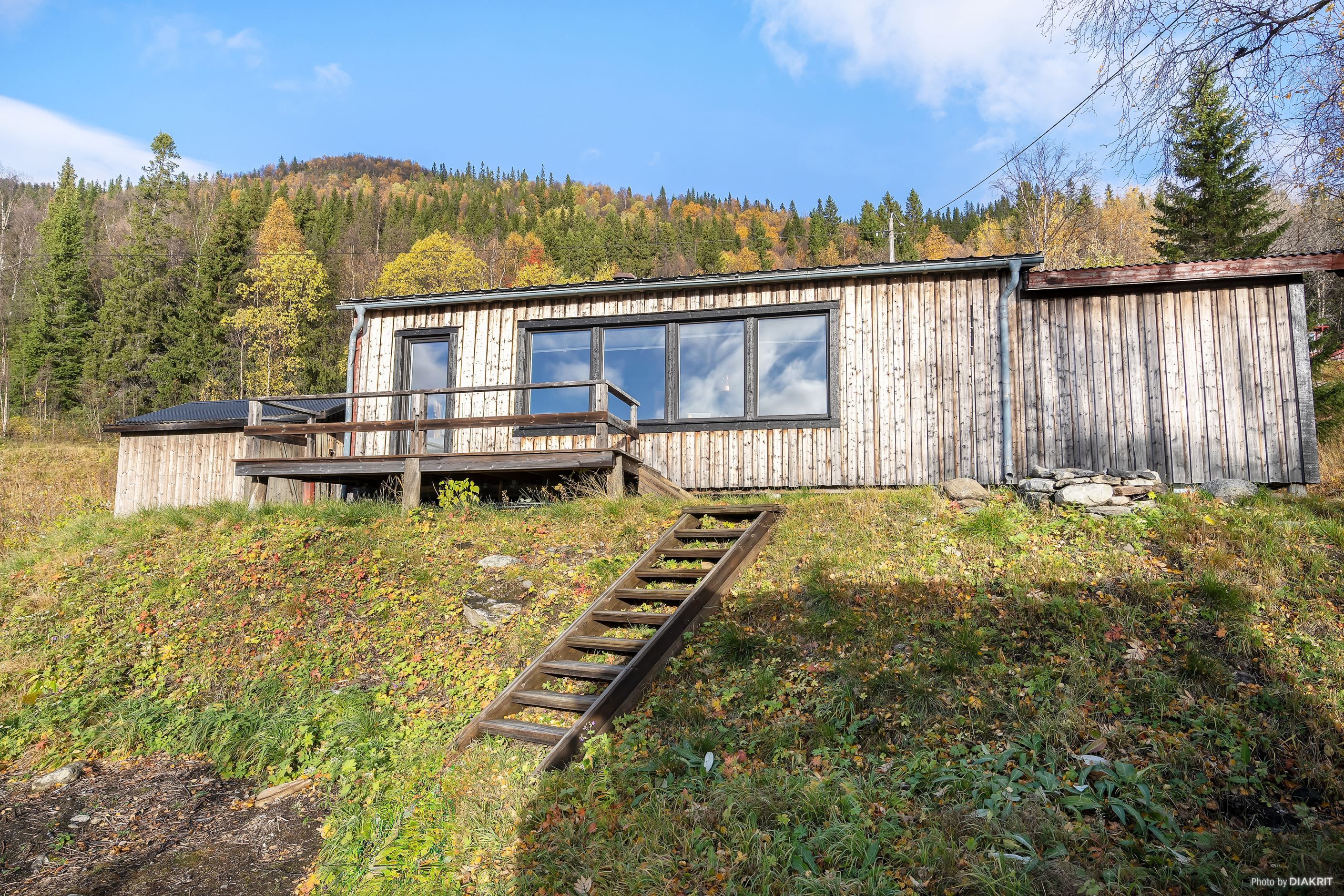 Exteriör