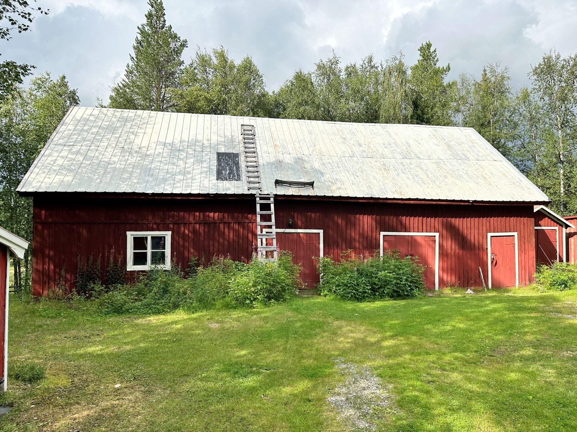 Exteriör