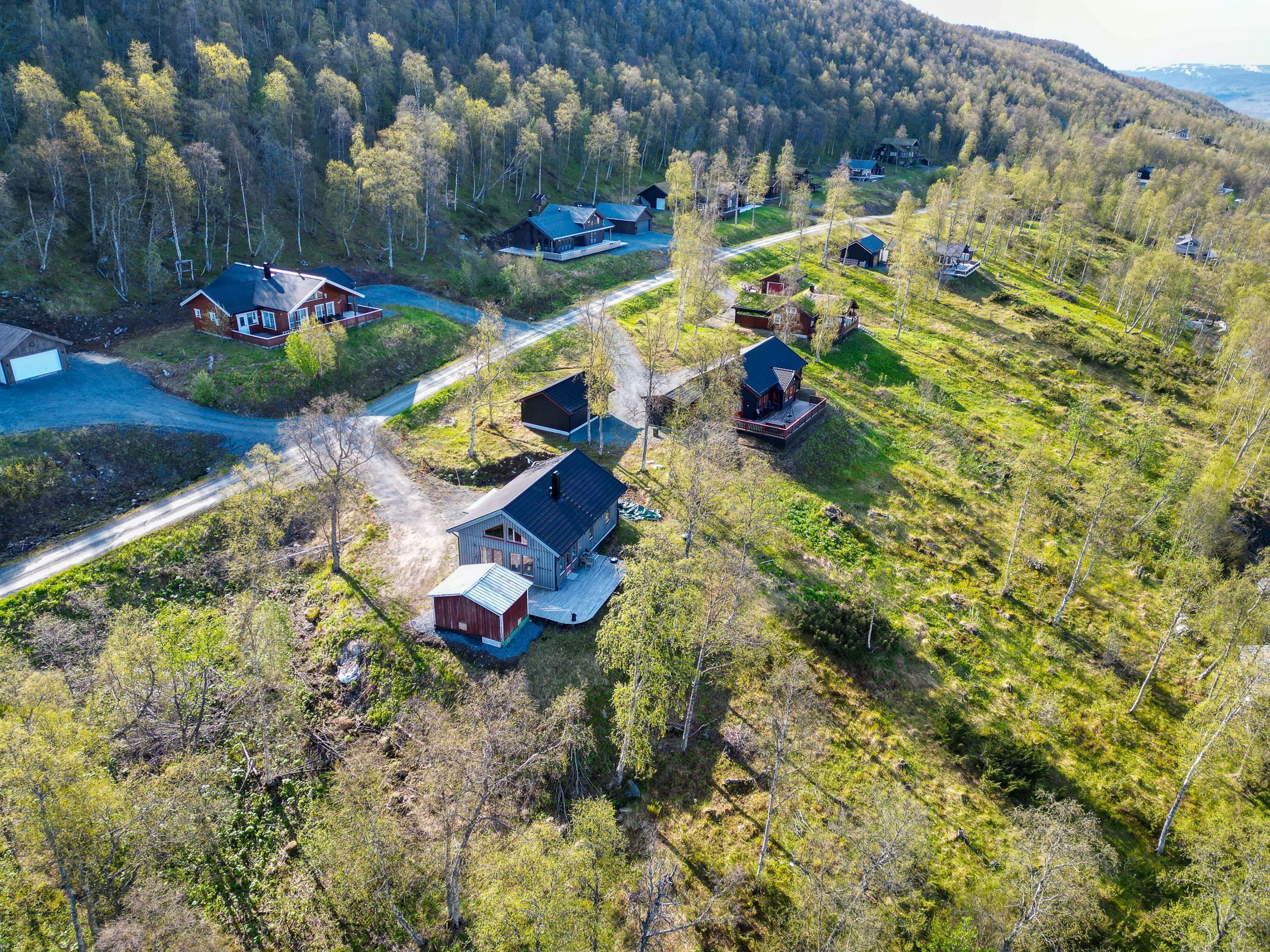 Exteriör