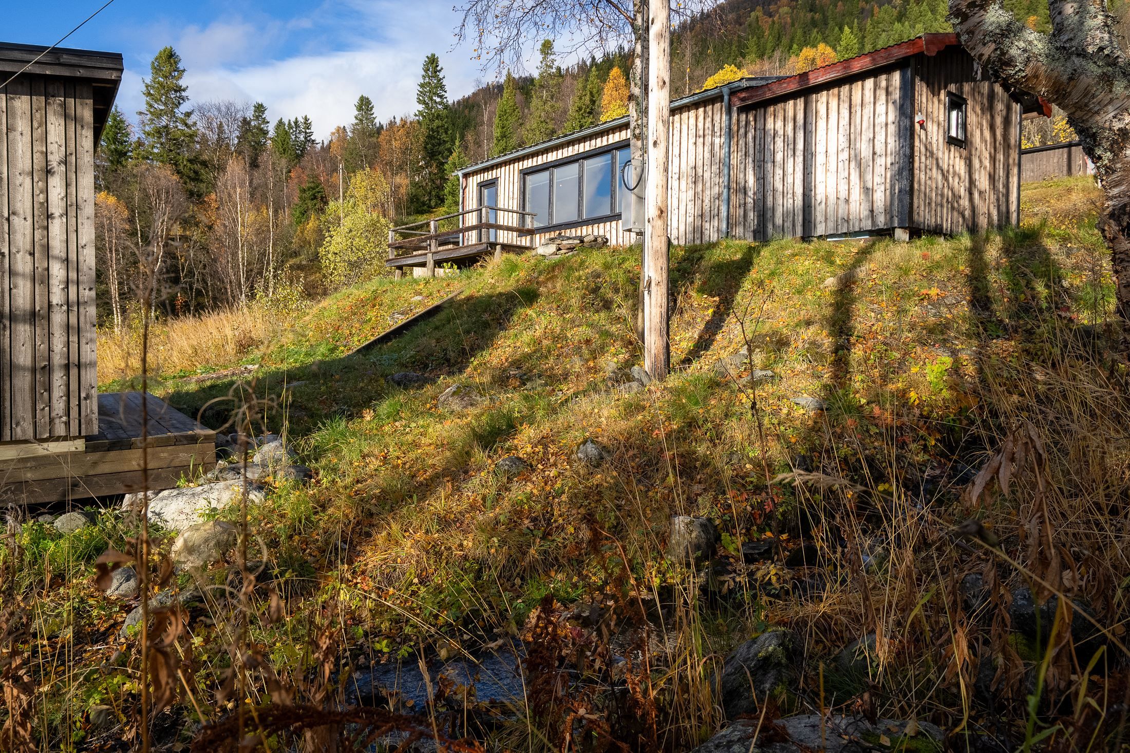Exteriör