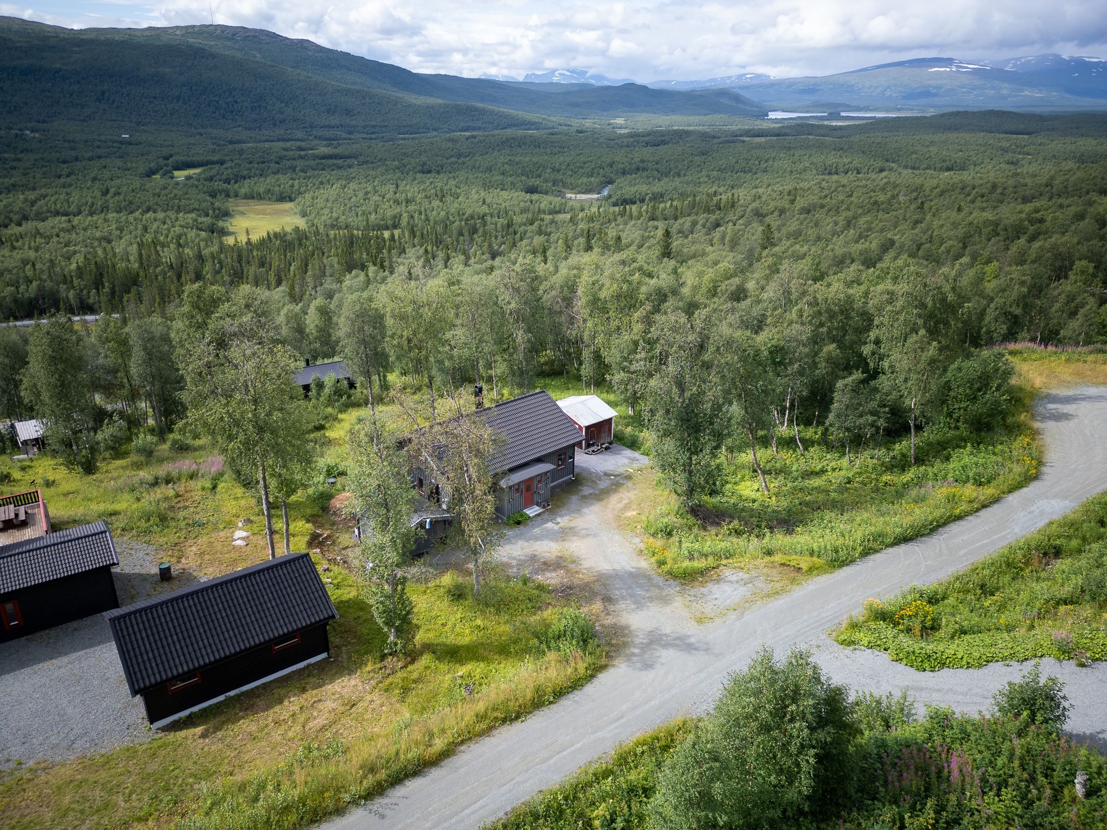 Exteriör