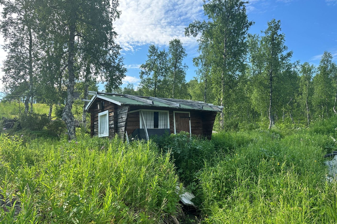 Exteriör
