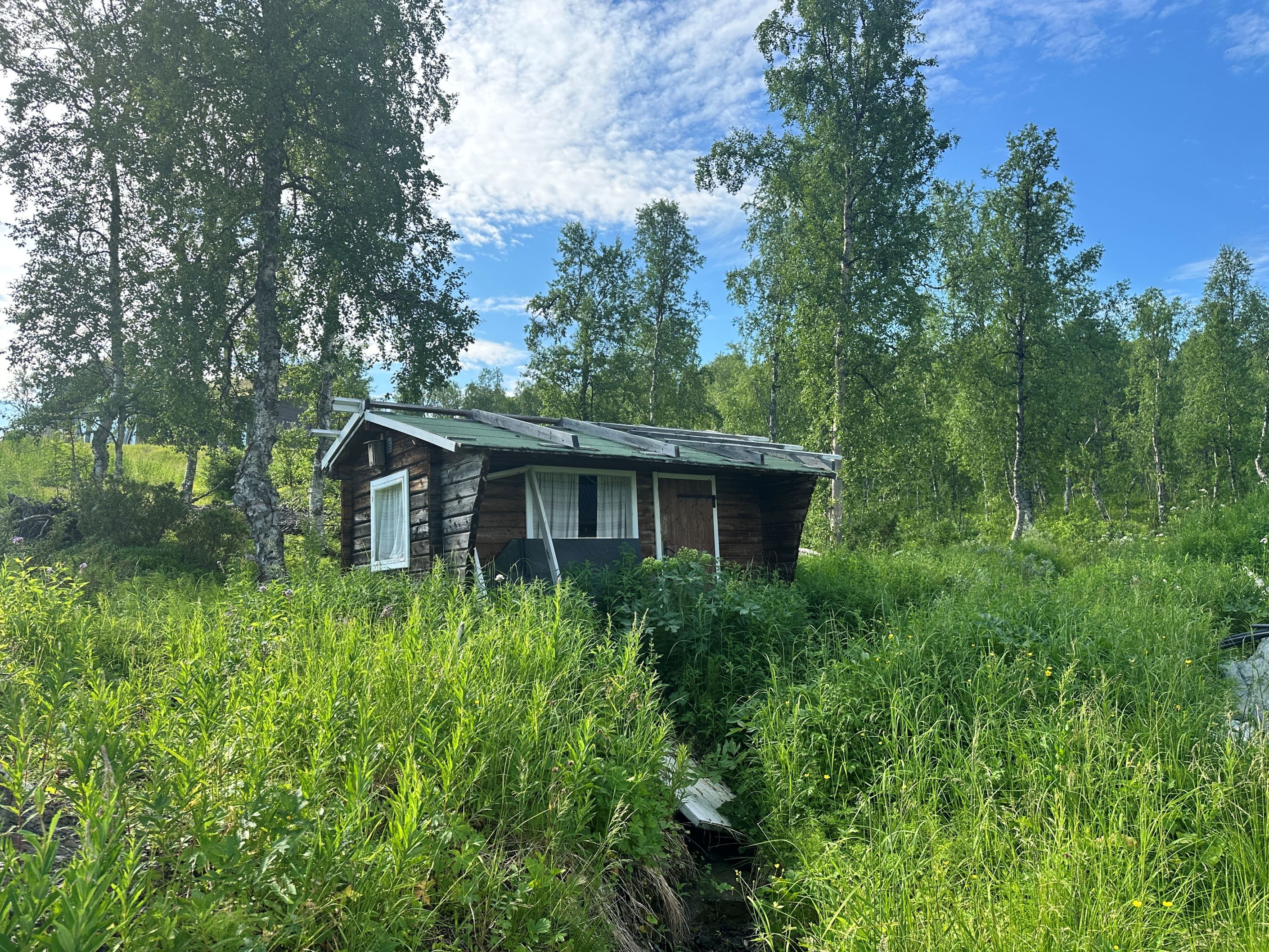 Exteriör