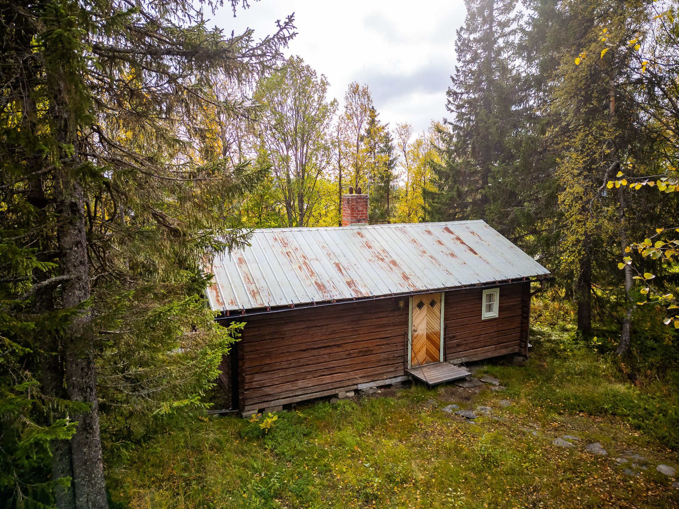 Exteriör
