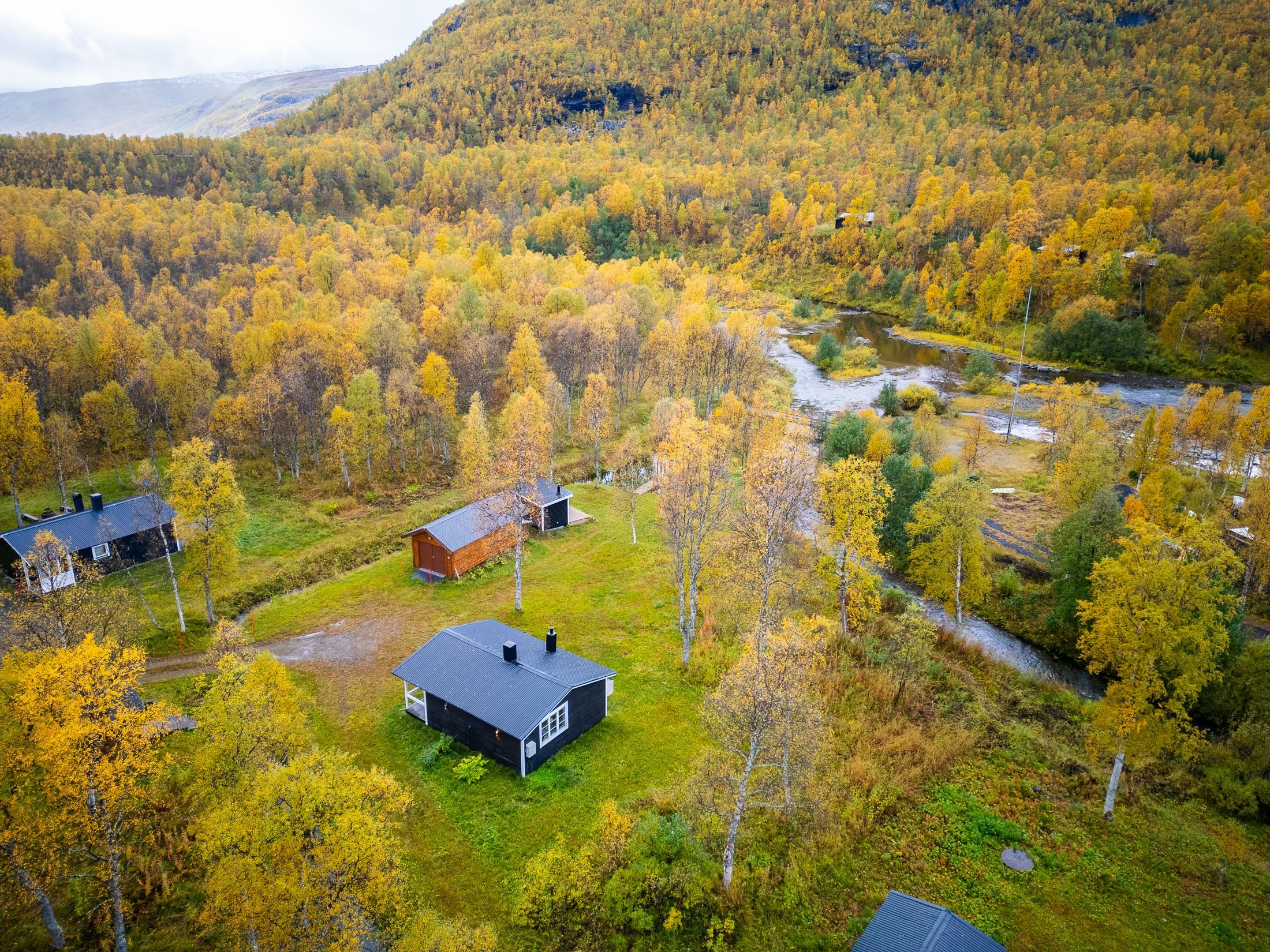 Exteriör