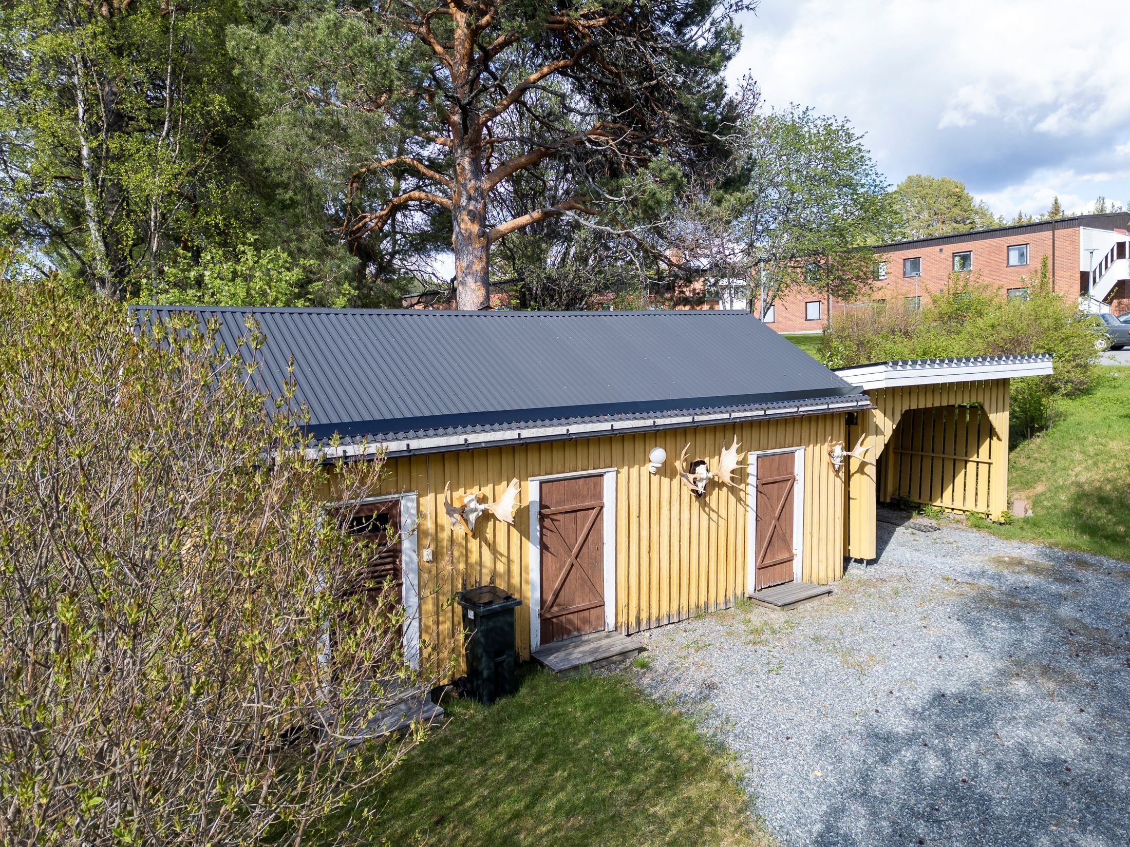 Exteriör