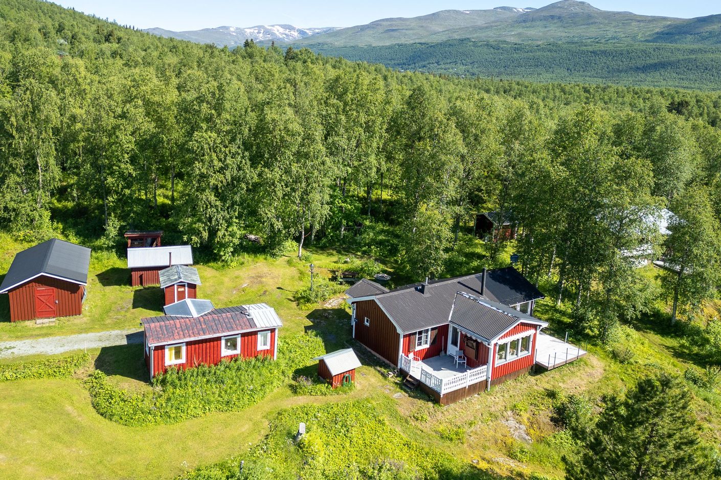 Exteriör