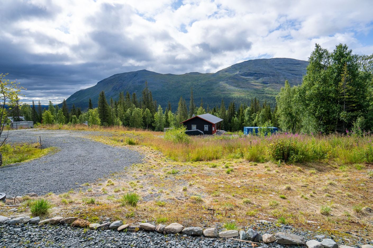 Exteriör