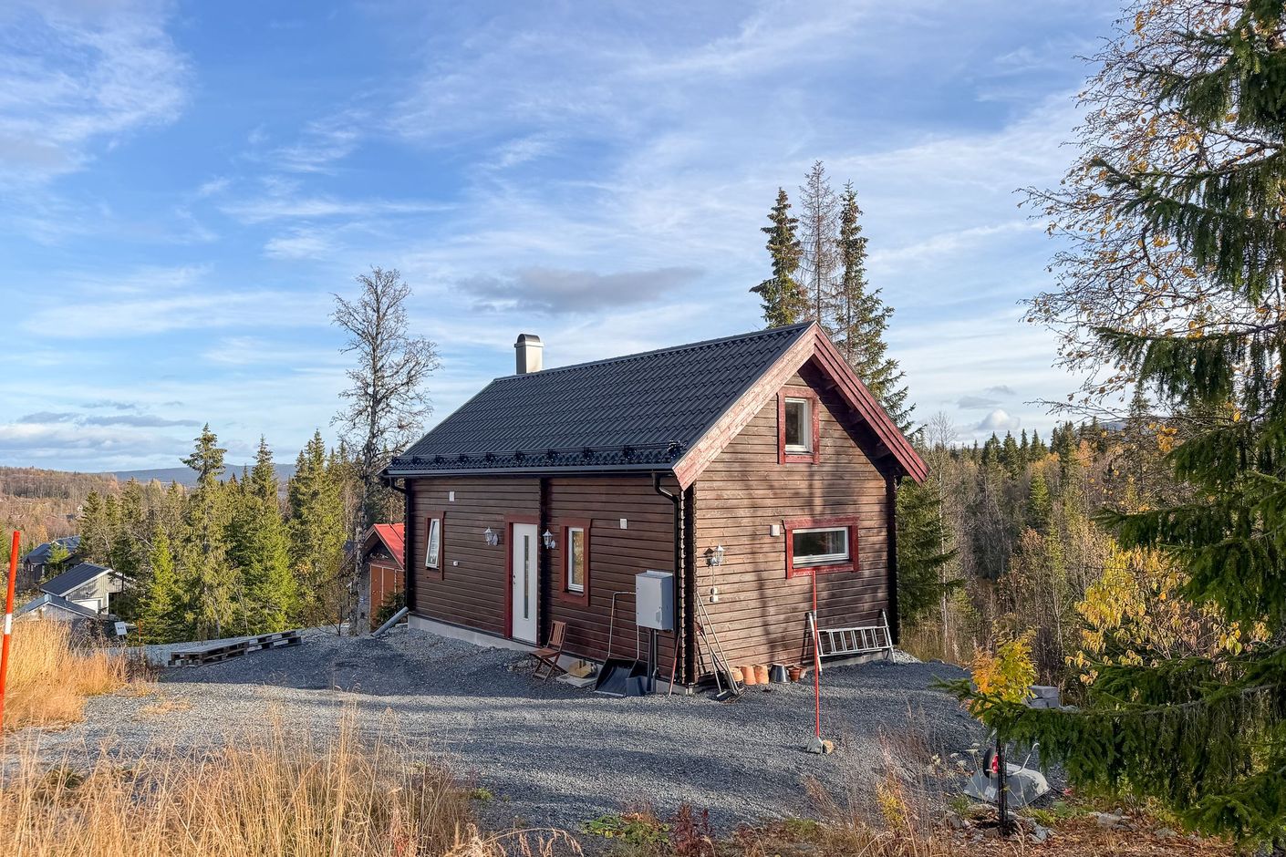 Exteriör
