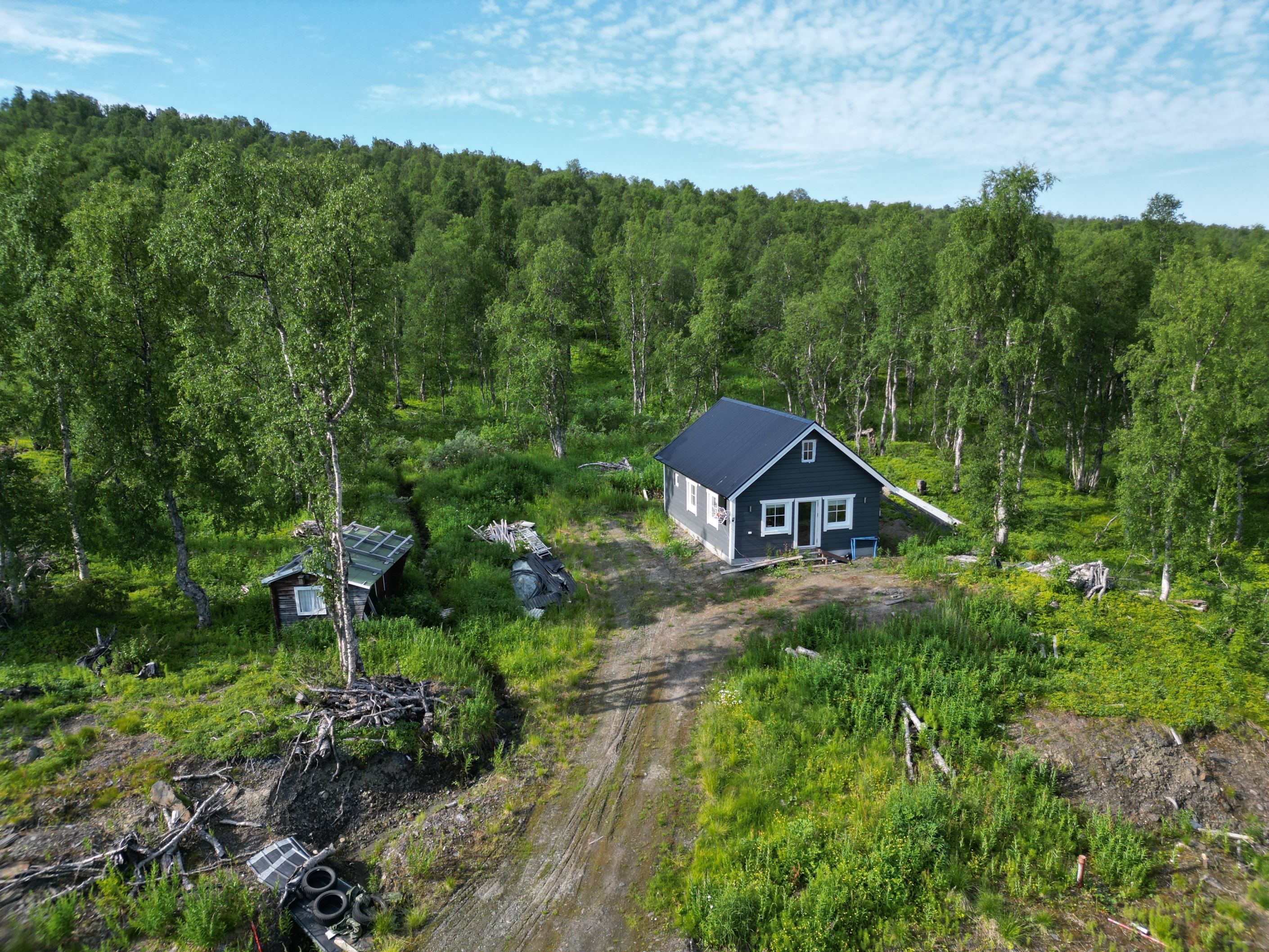 Exteriör