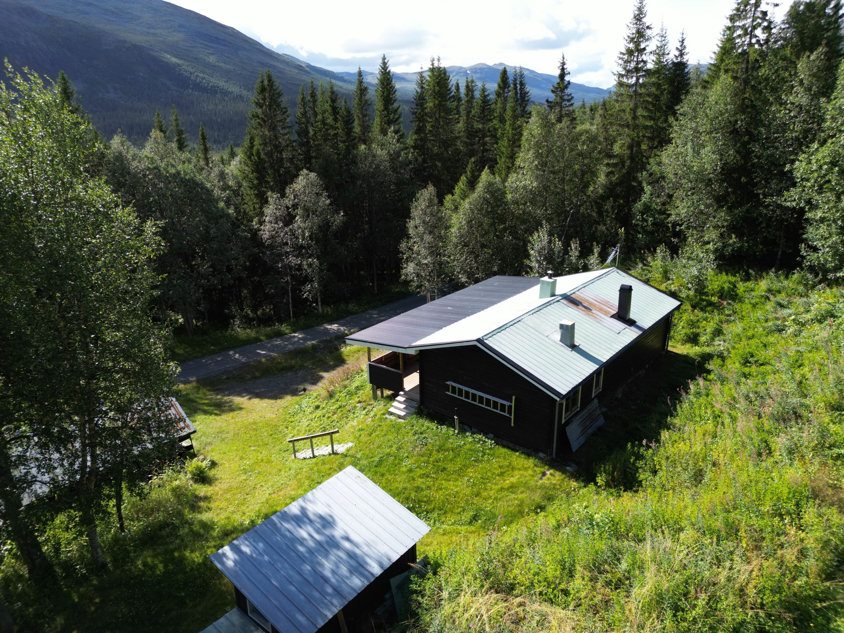 Exteriör