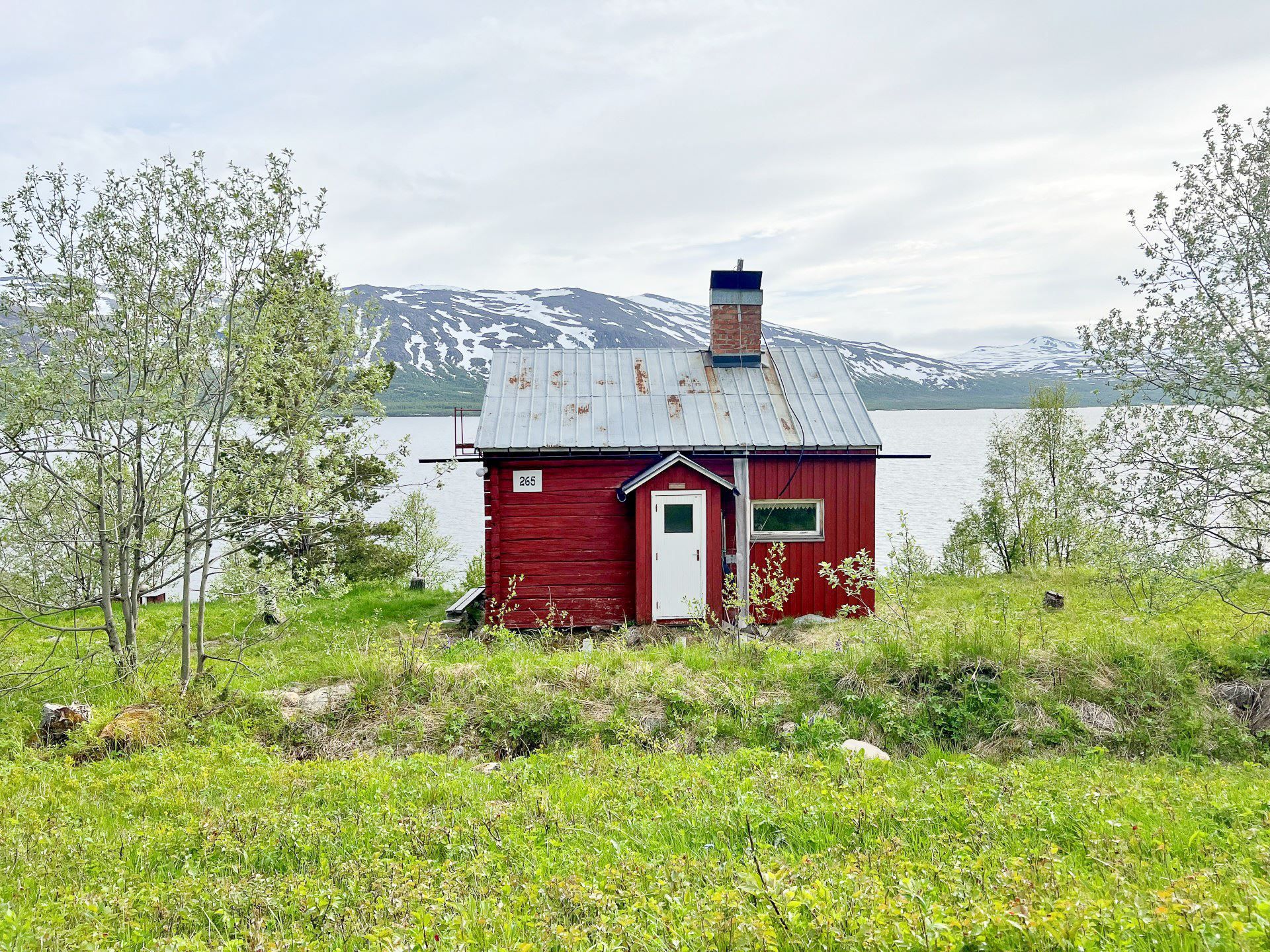 Exteriör
