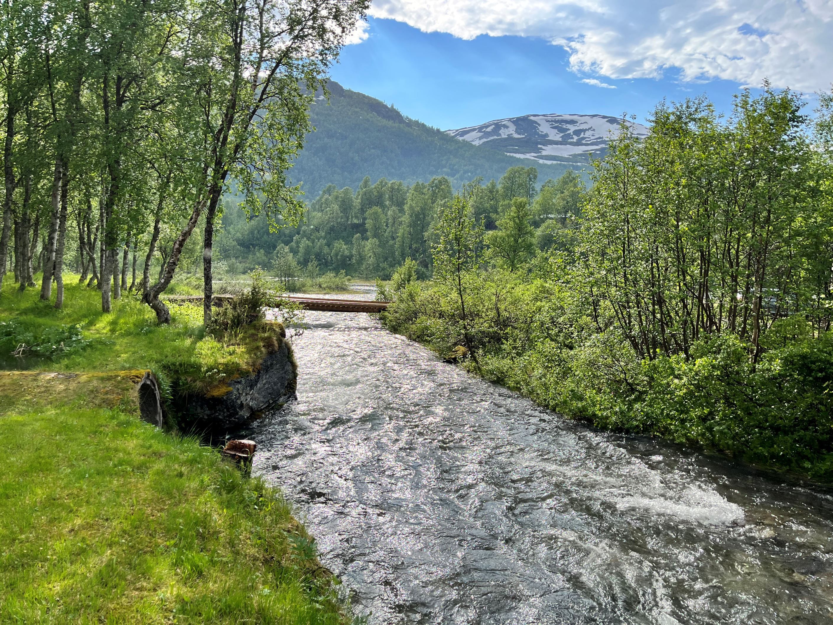 Säljarens egen bild
