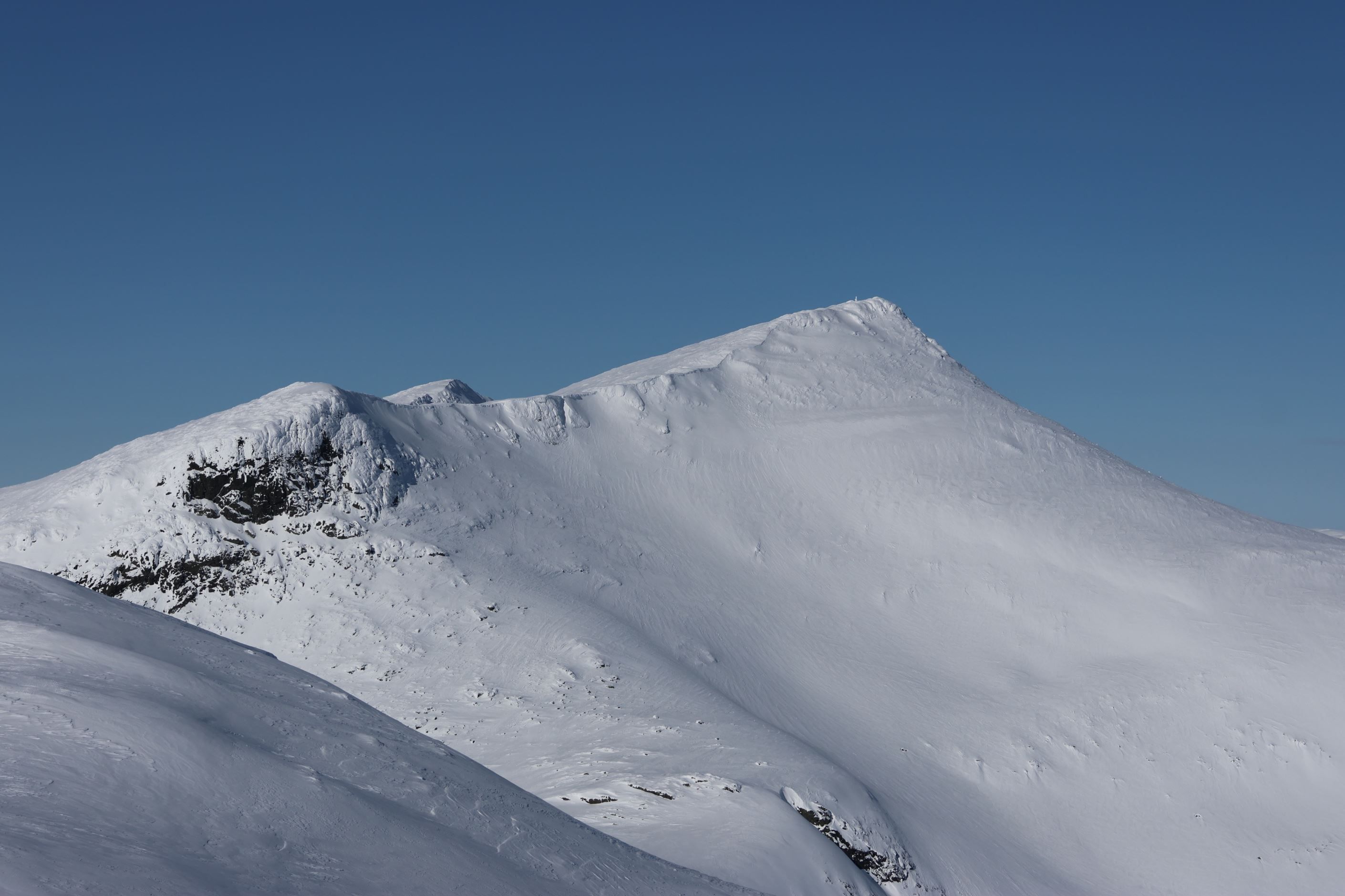 Säljarens egen bild