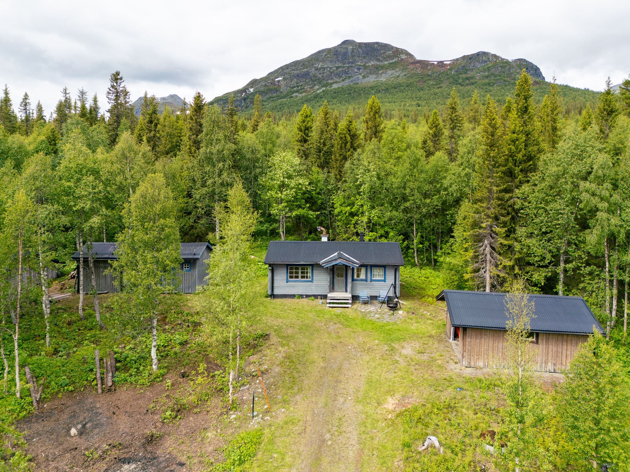 Exteriör
