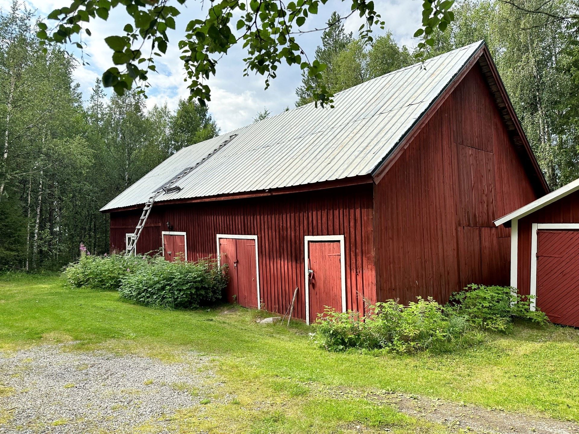 Exteriör