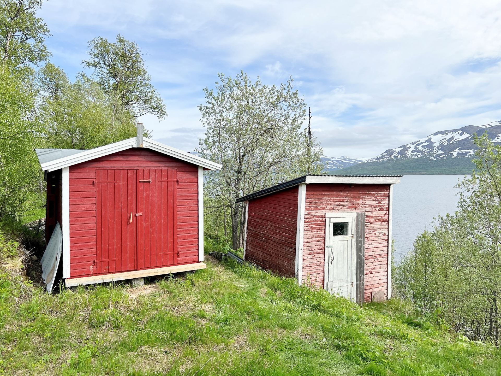 Exteriör
