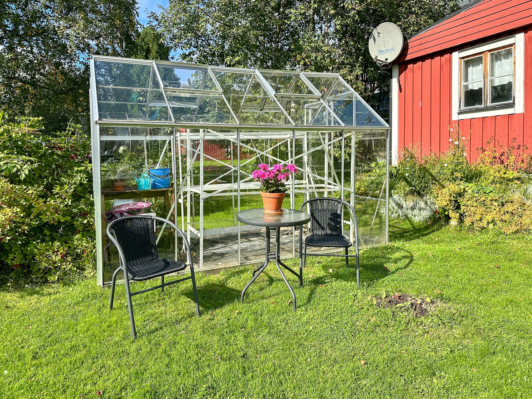 Exteriör