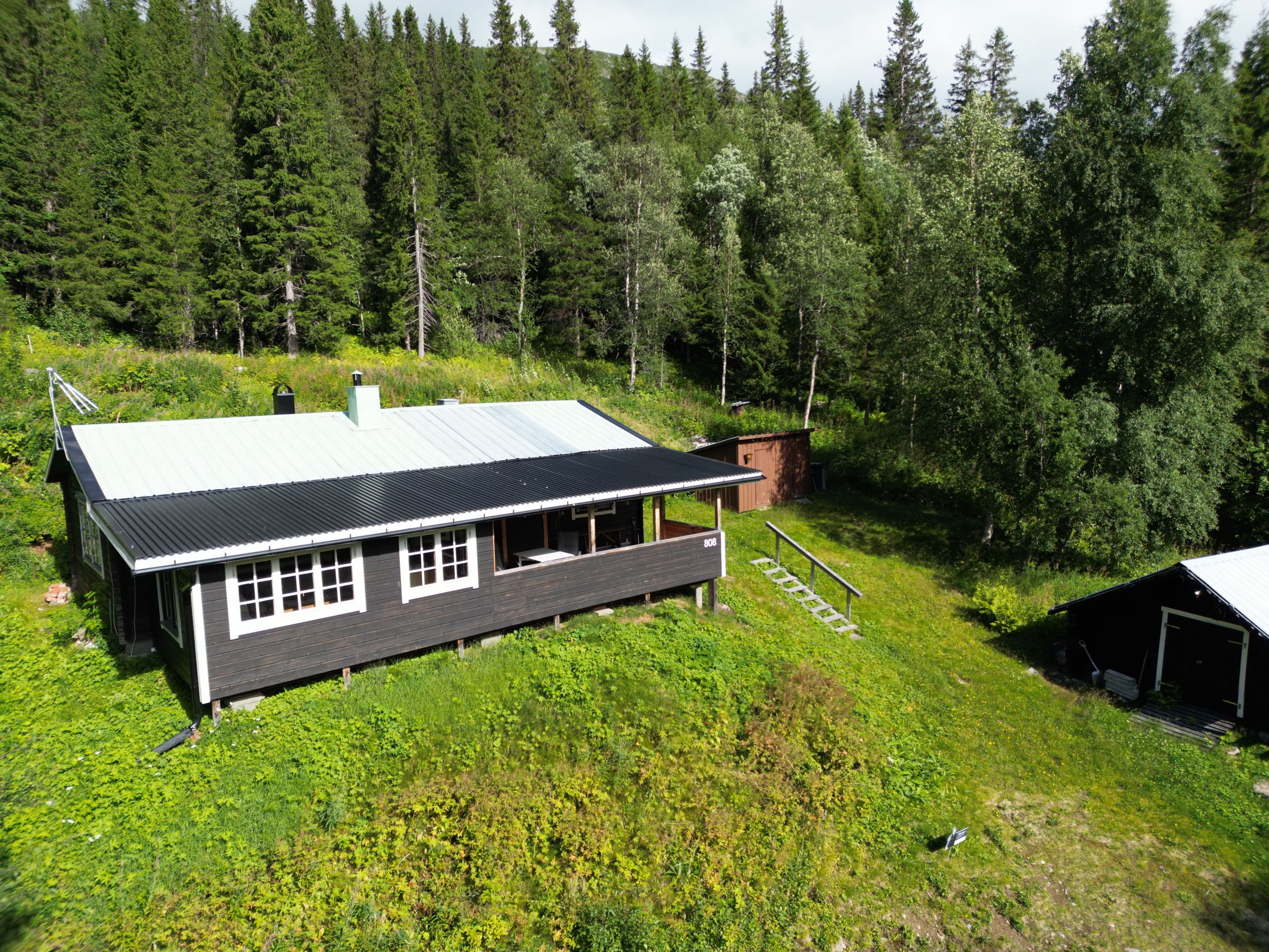 Exteriör