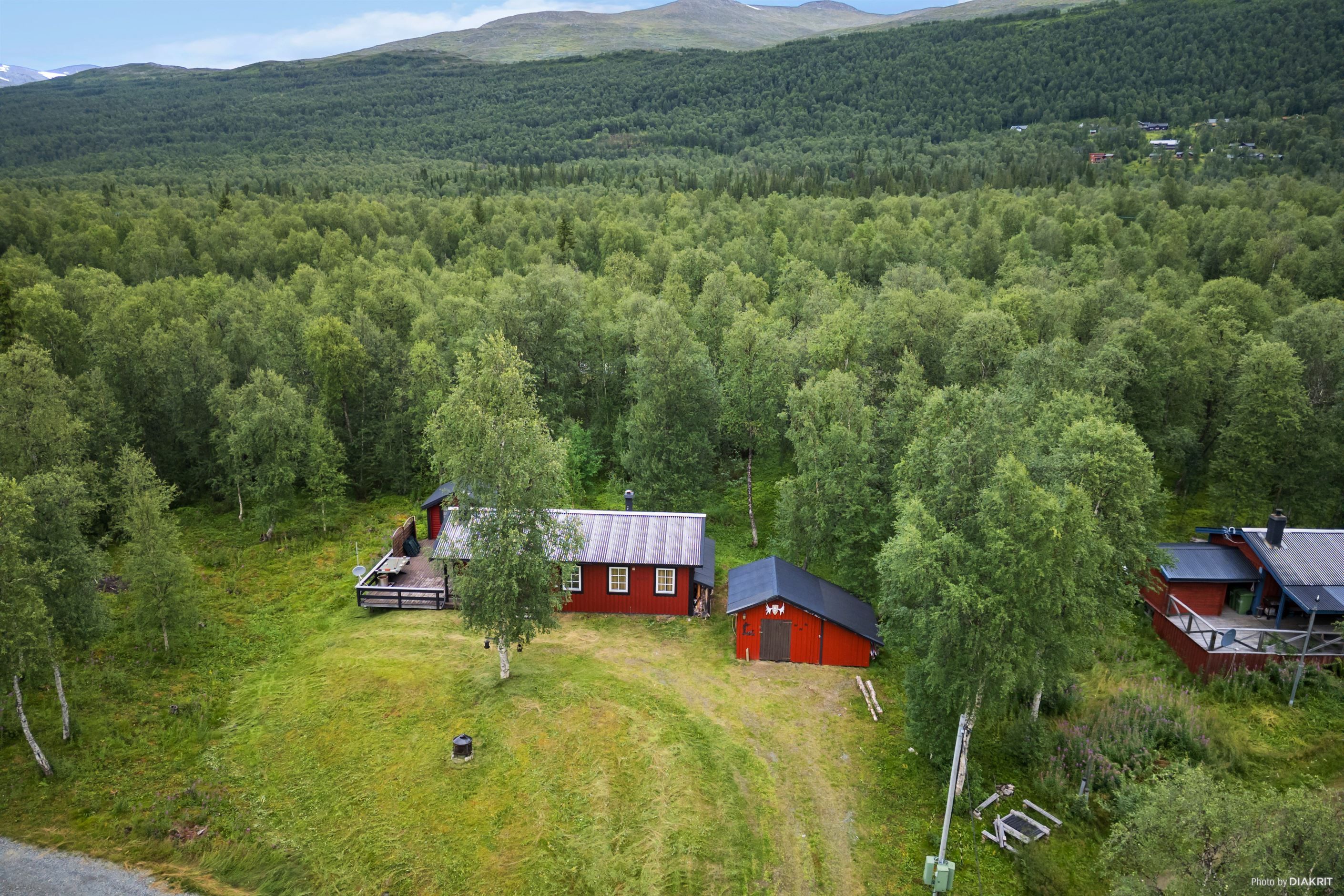 Exteriör
