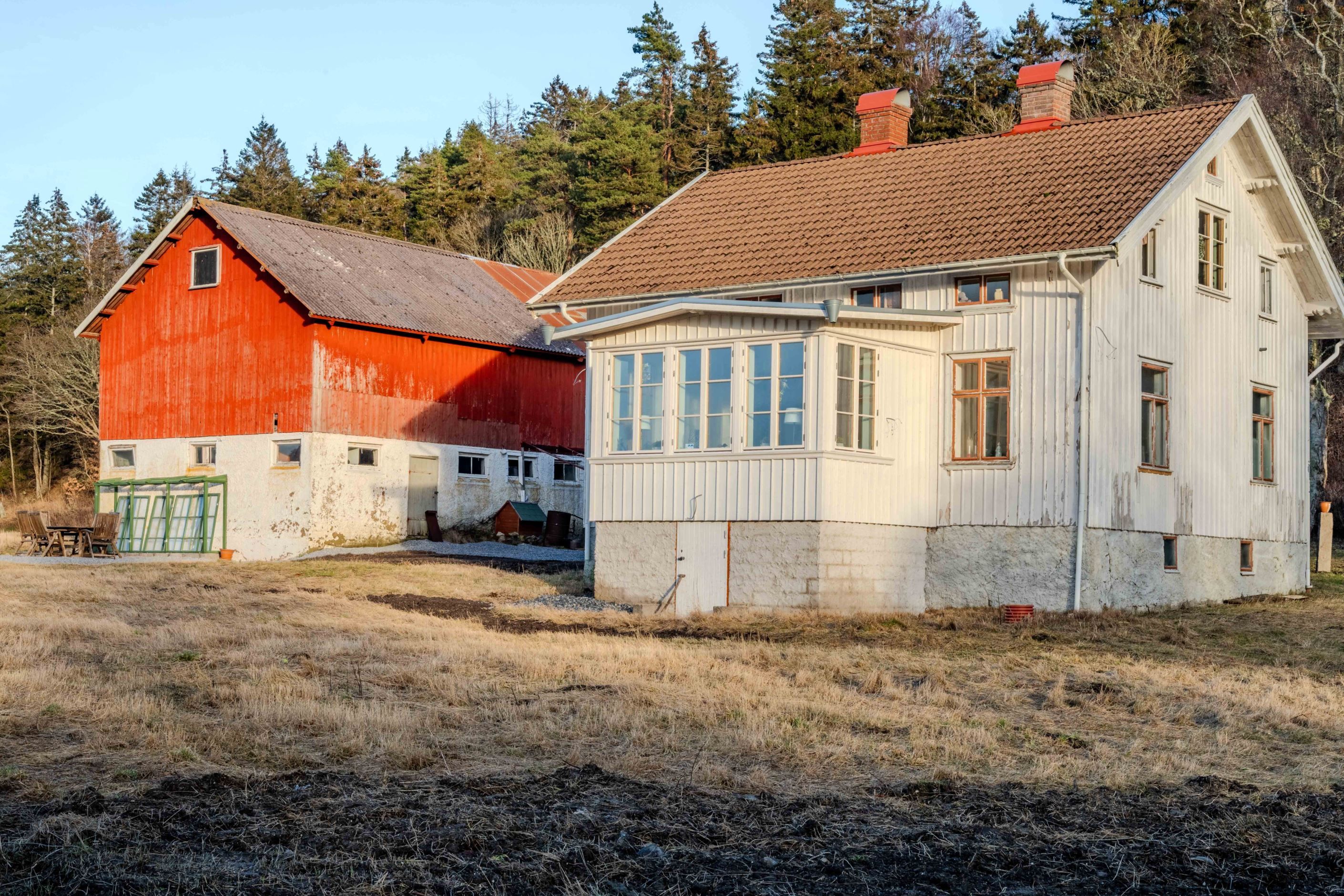 Exteriör
