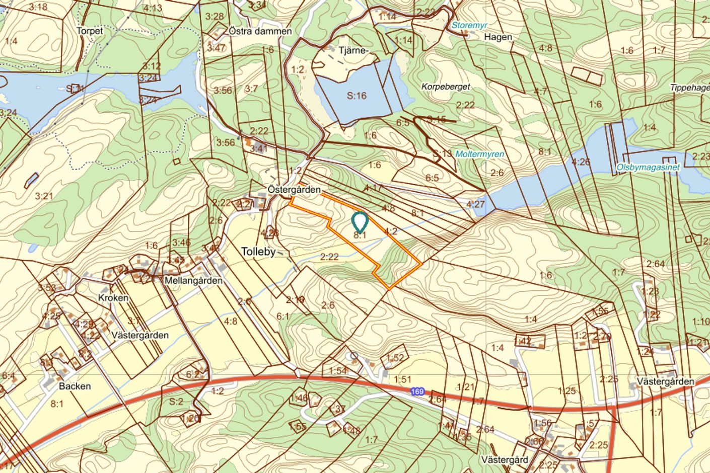 Område 6