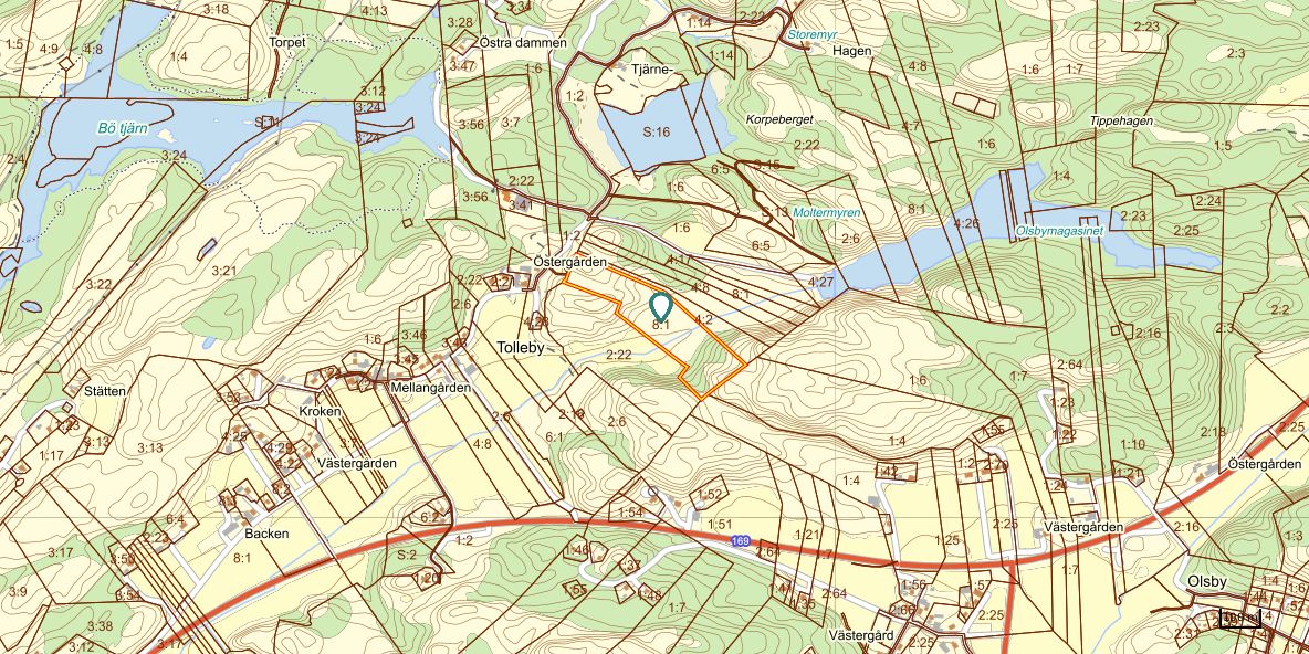 Område 6