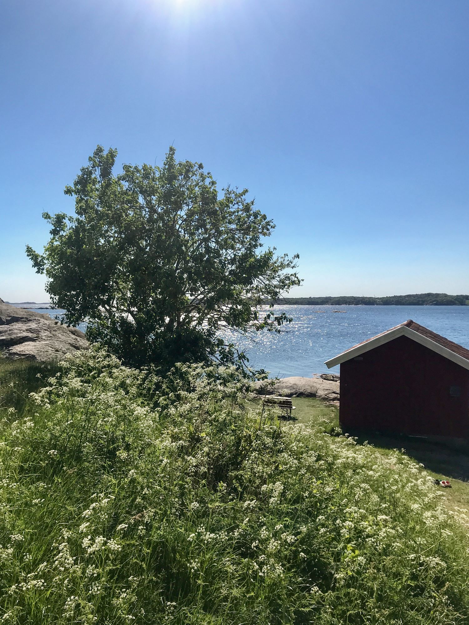 Säljarens egna bilder