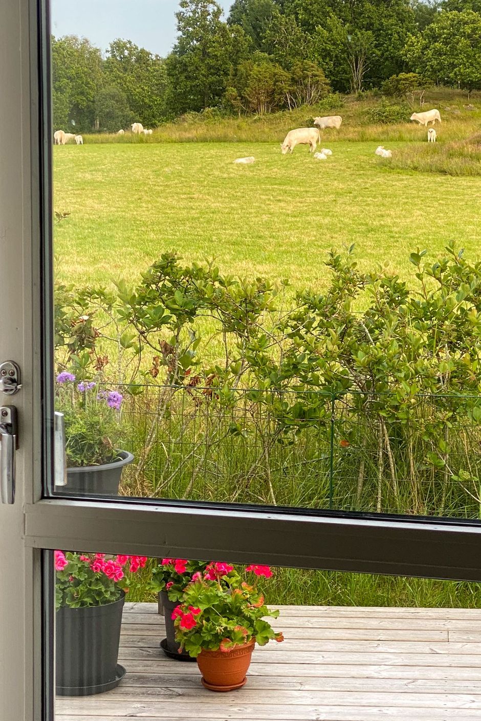 Säljarens egna bilder