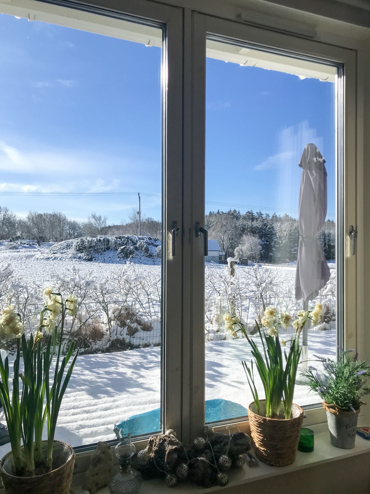 Säljarens egna bilder