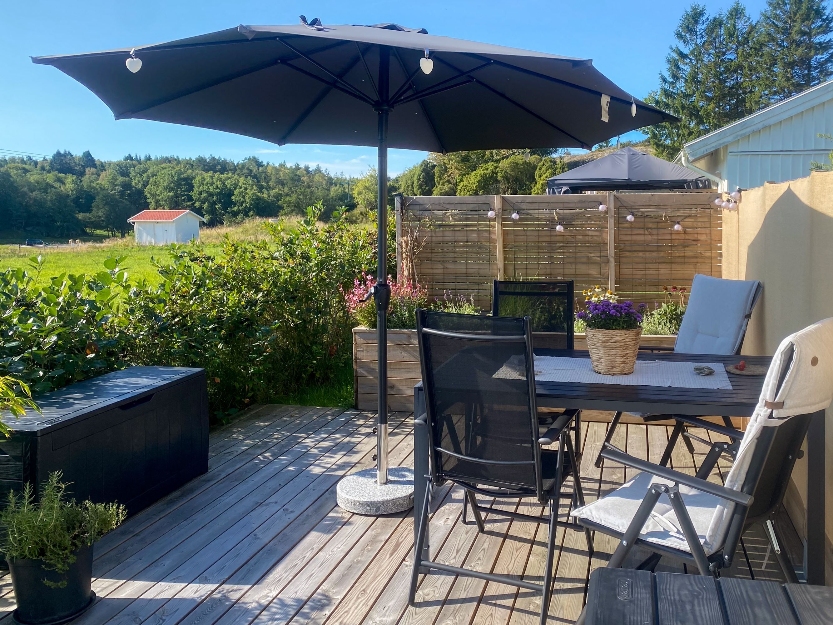 Säljarens egna bilder