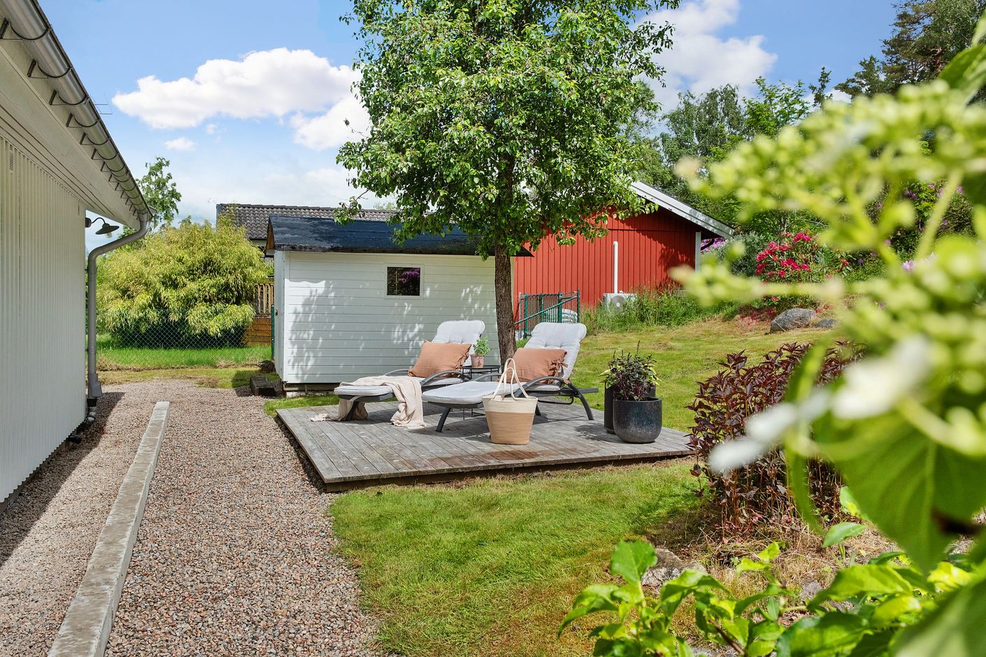 Trädgård