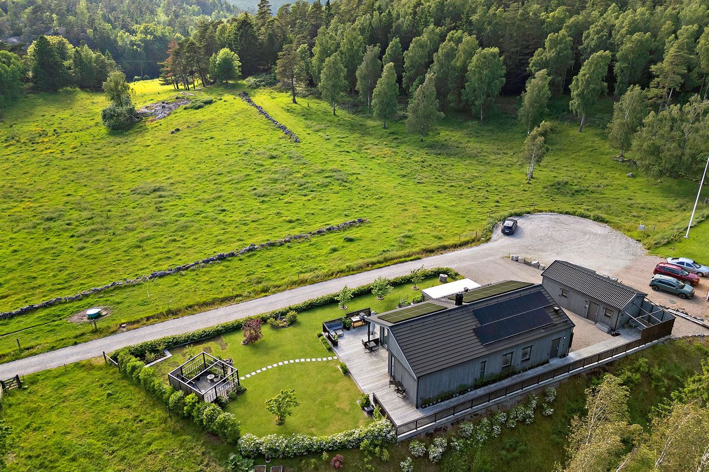 Trädgård
