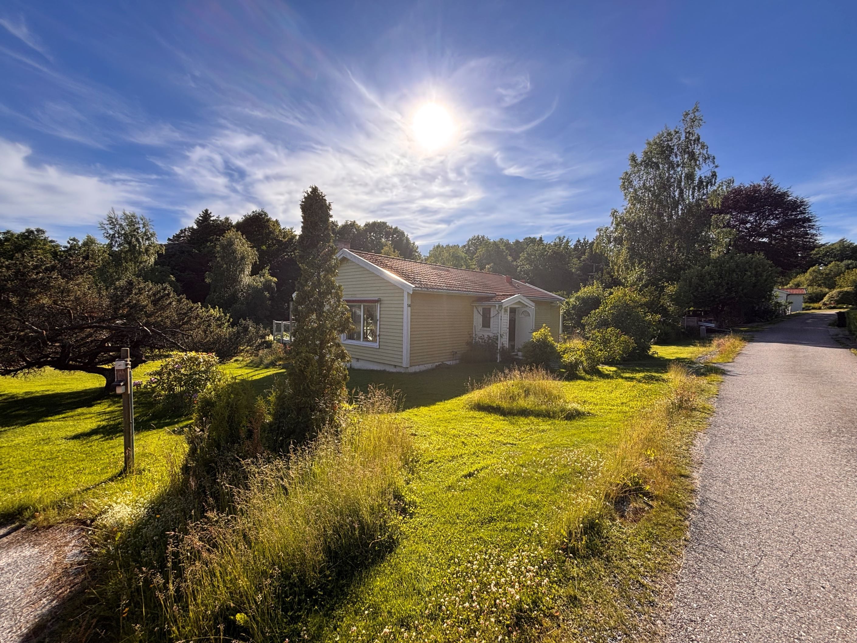 Trädgård