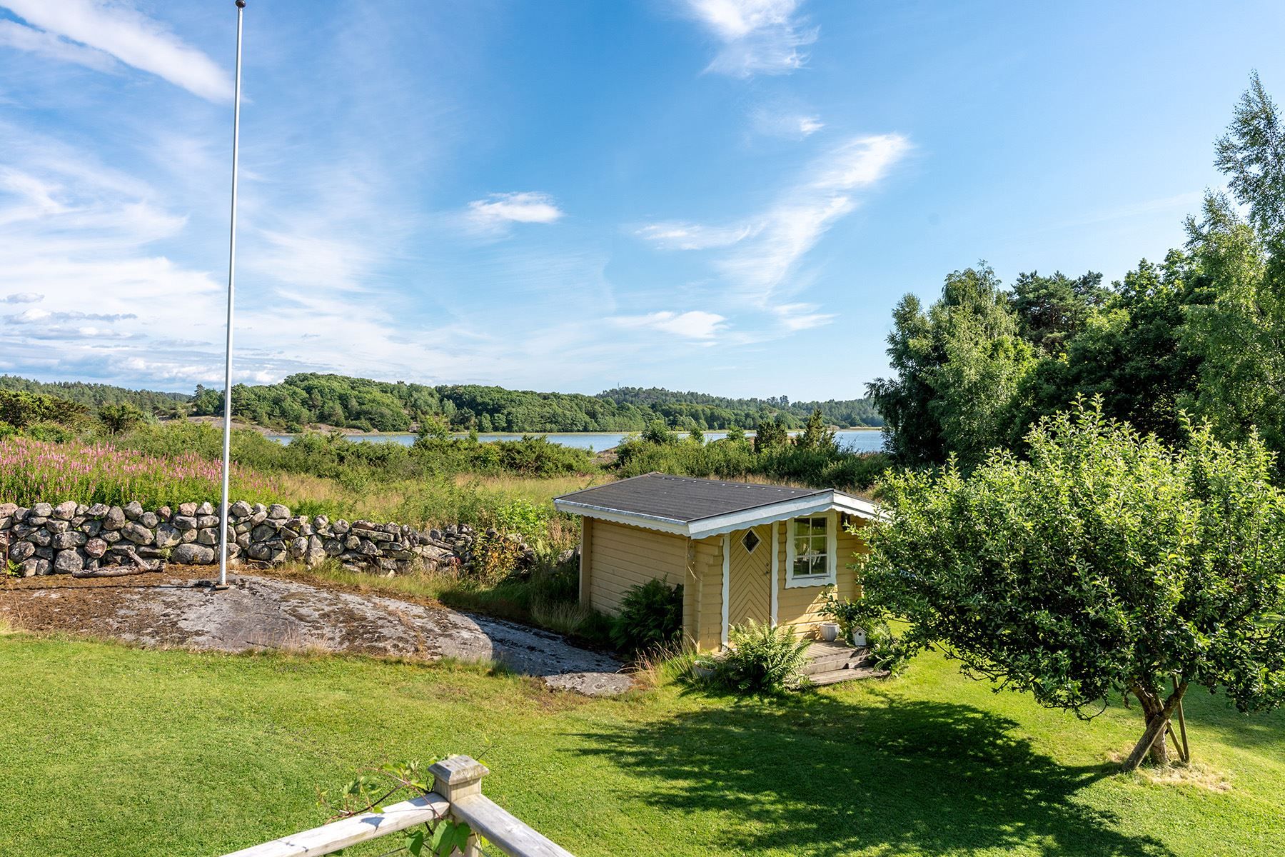 Trädgård