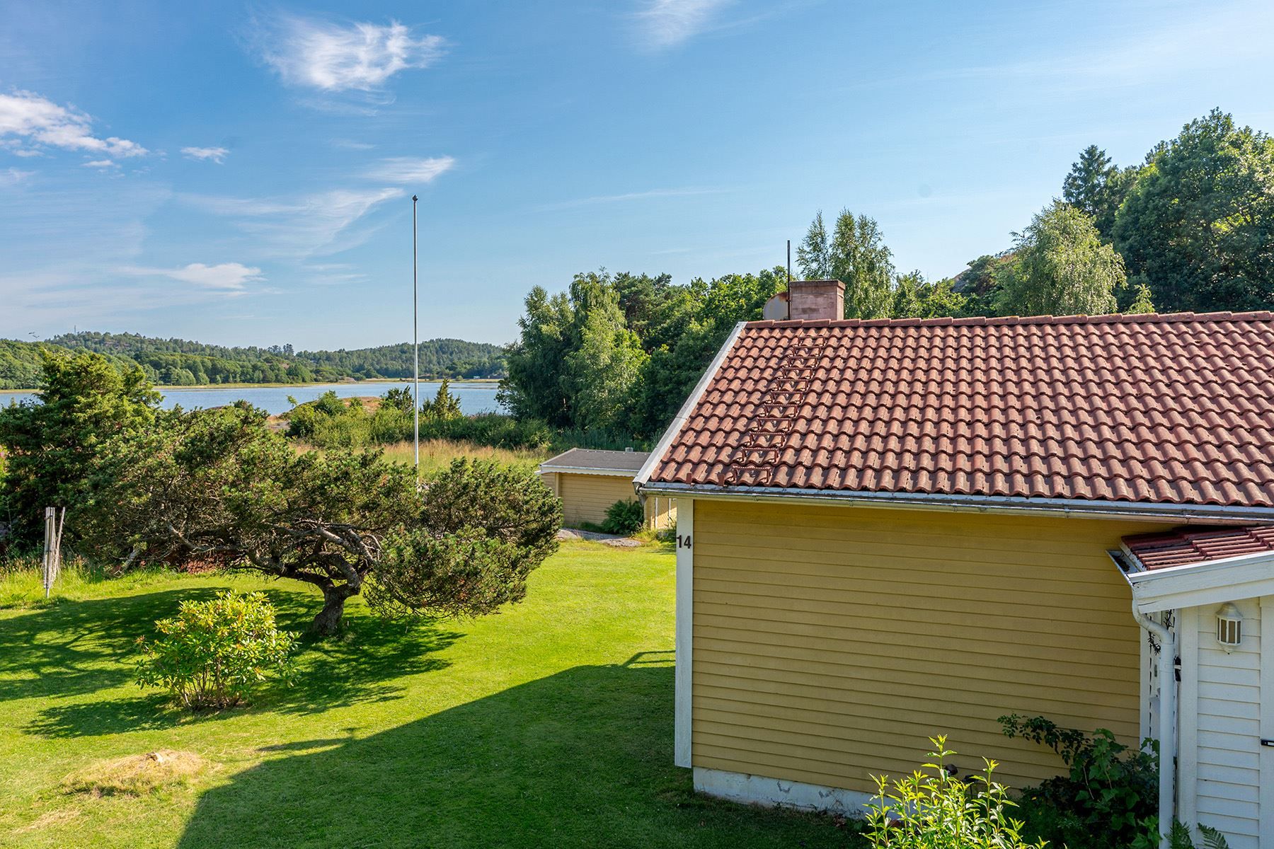 Trädgård