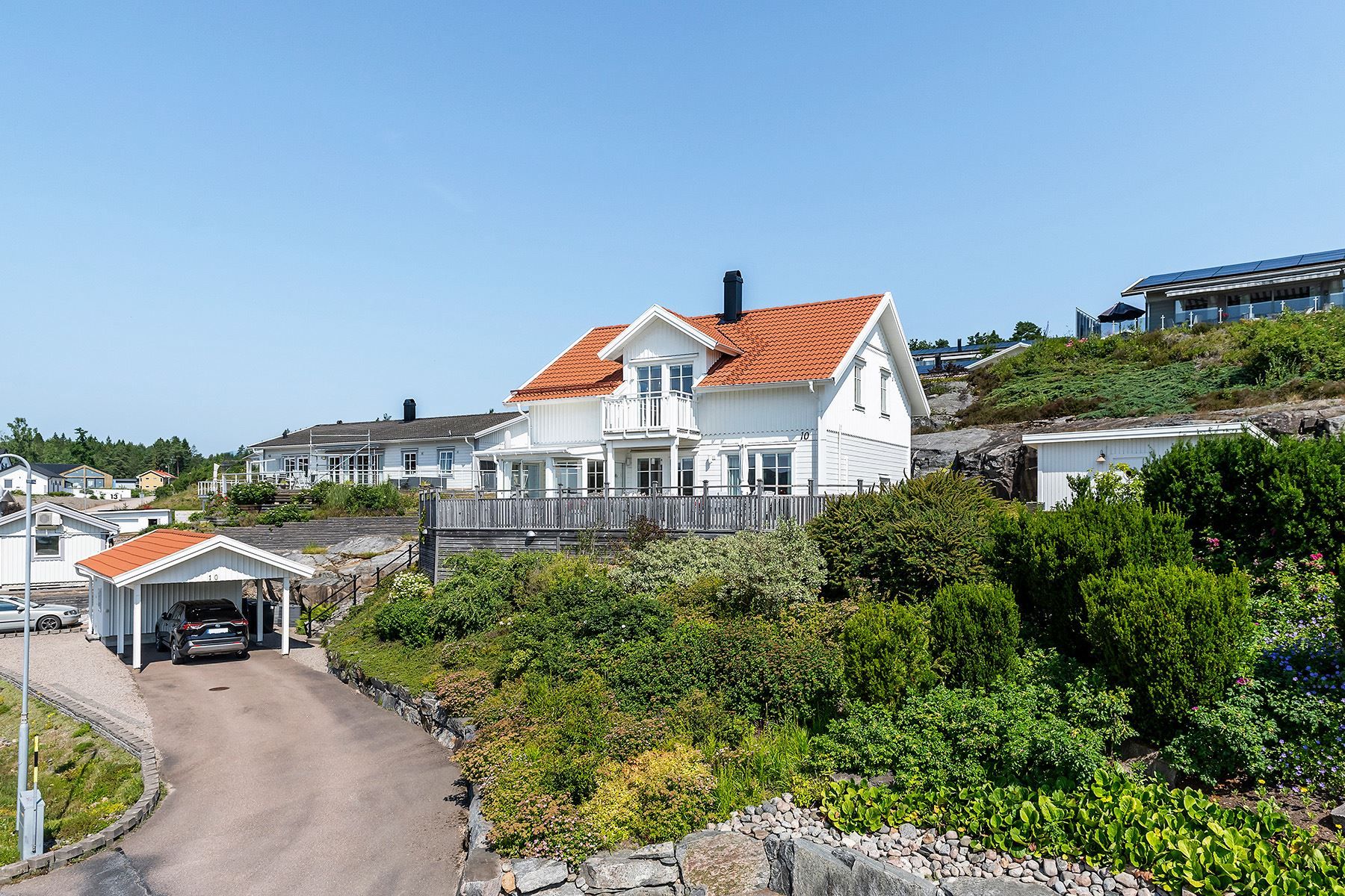 Trädgård