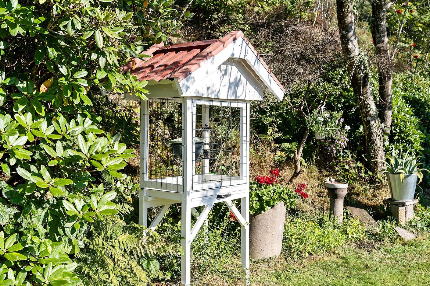 Trädgård