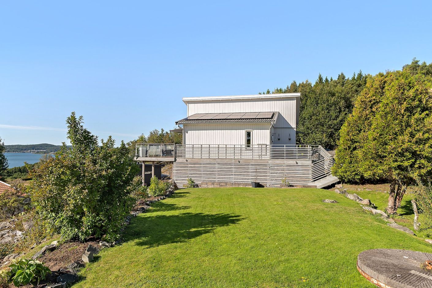 Trädgård