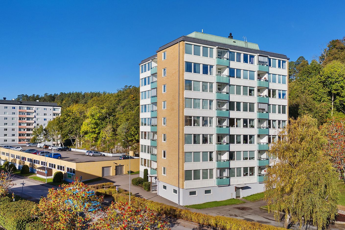 Exteriör