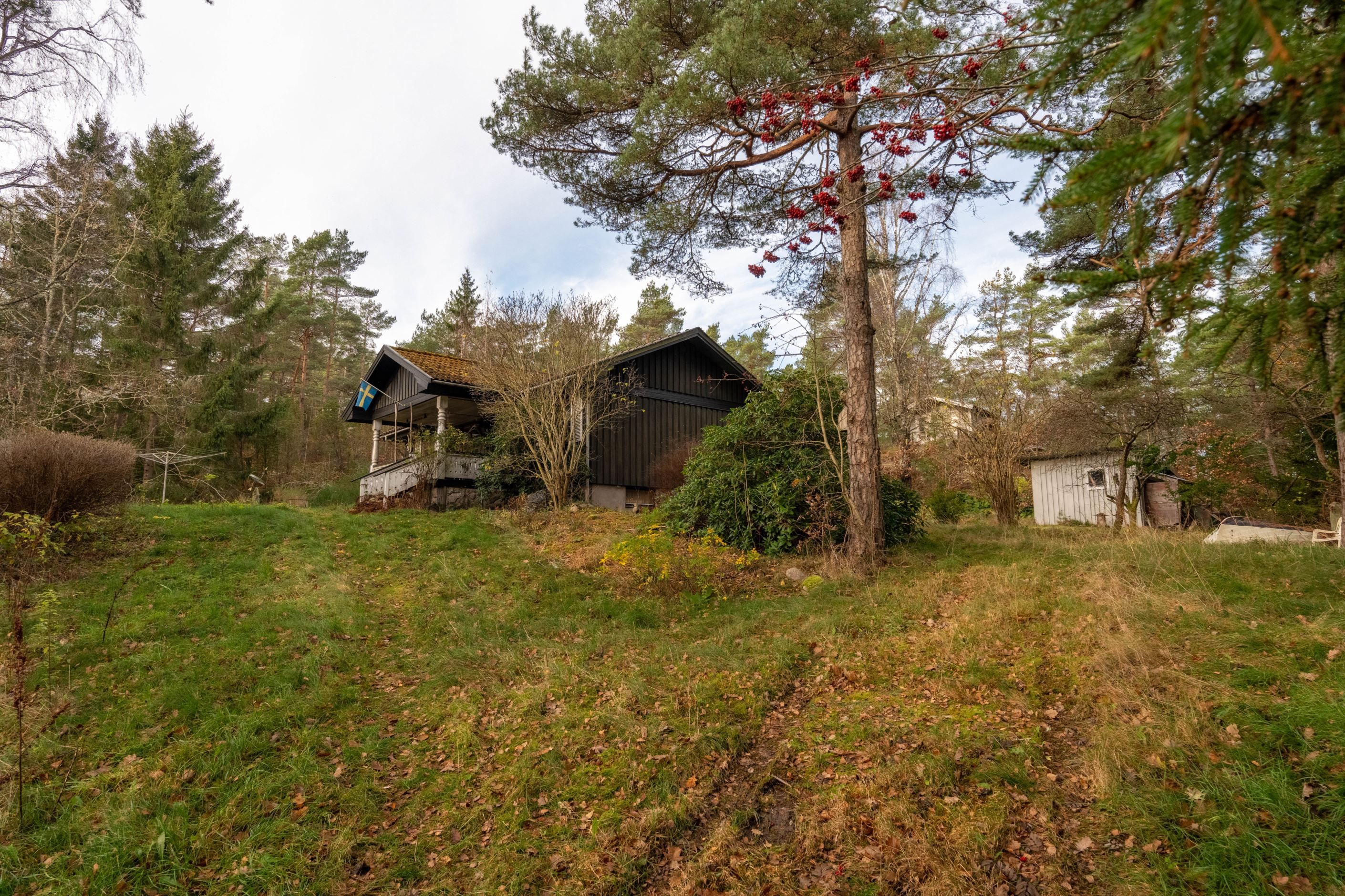 Exteriör