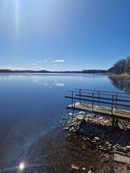 Säljarens egna bilder