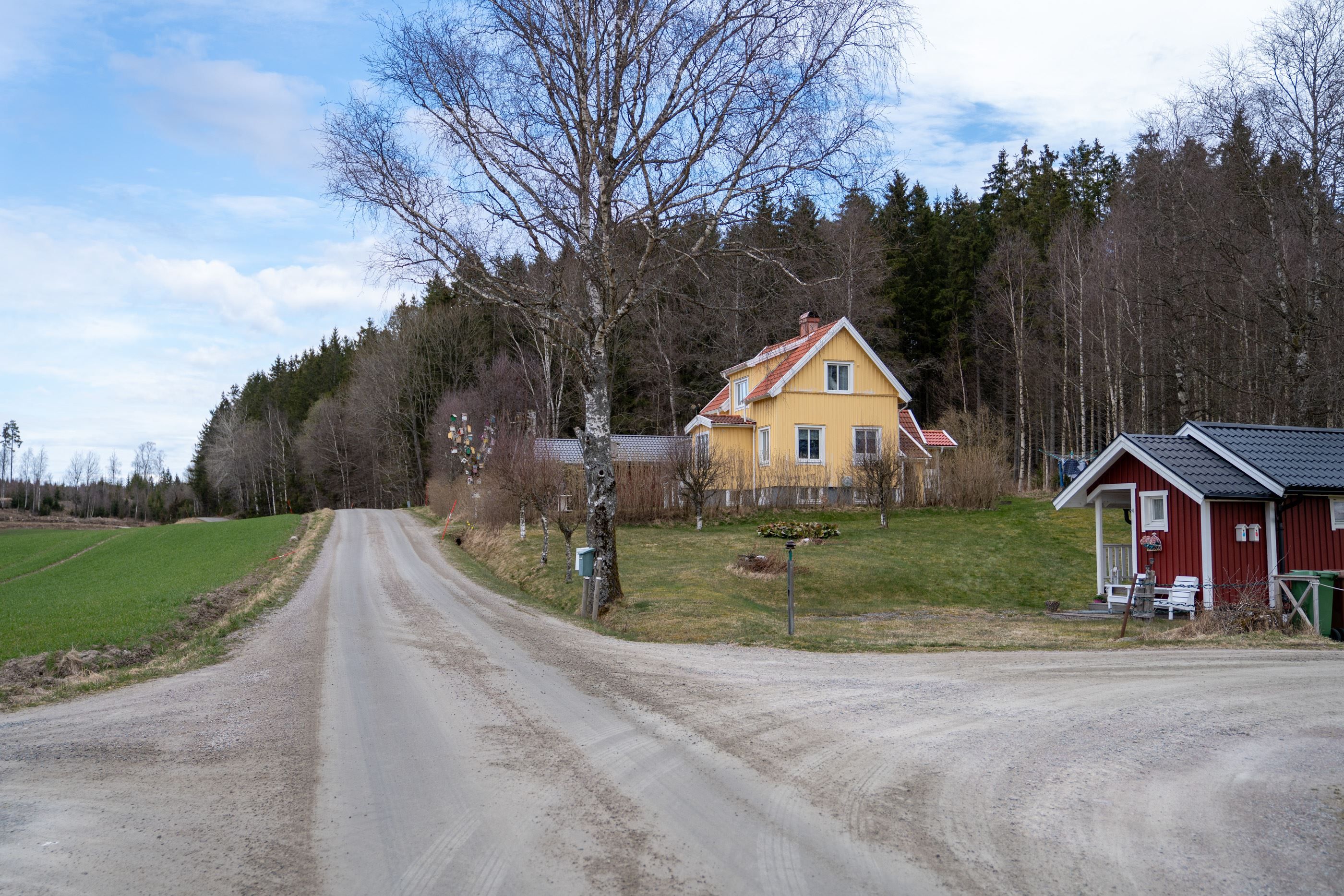 Exteriör