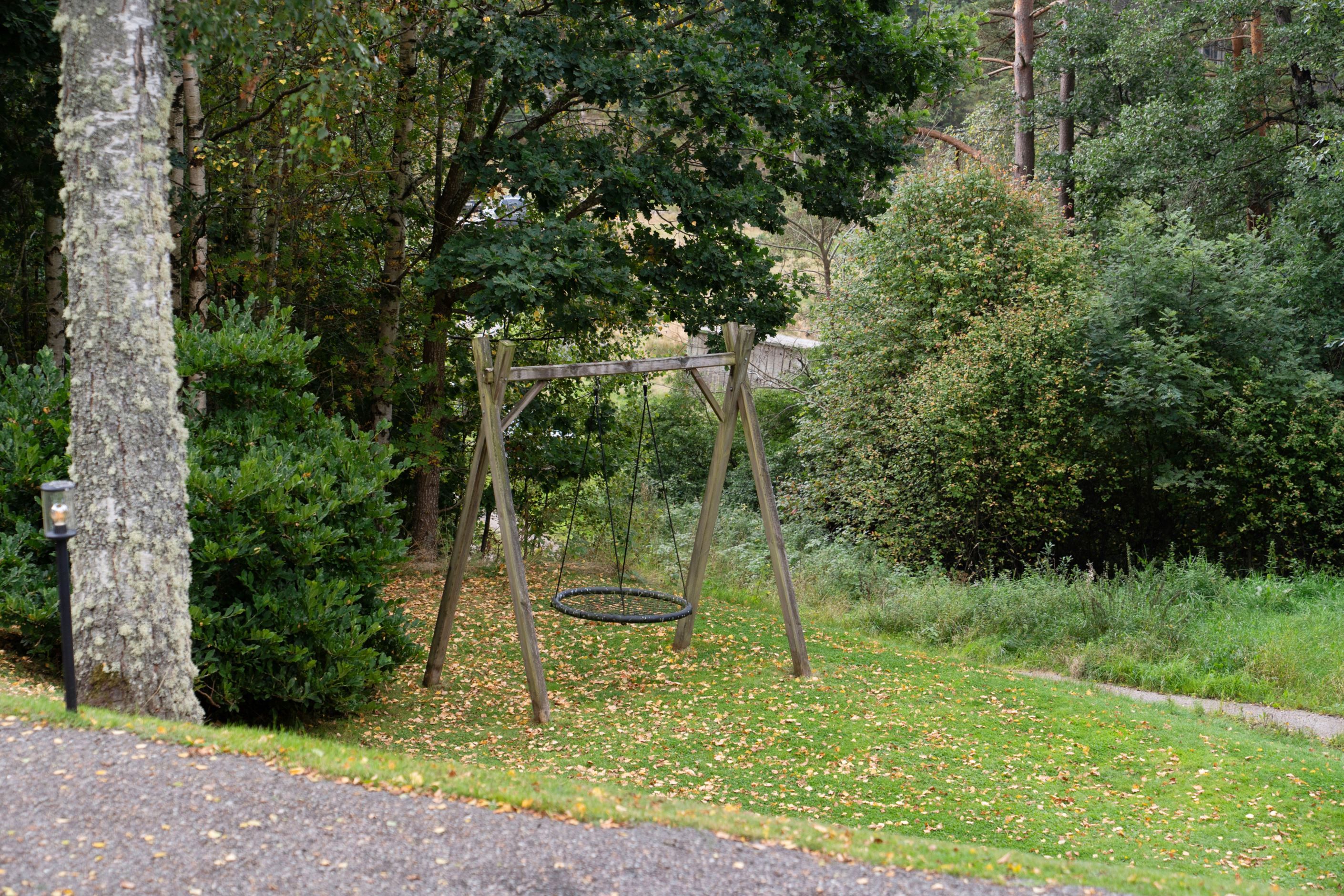 Trädgård