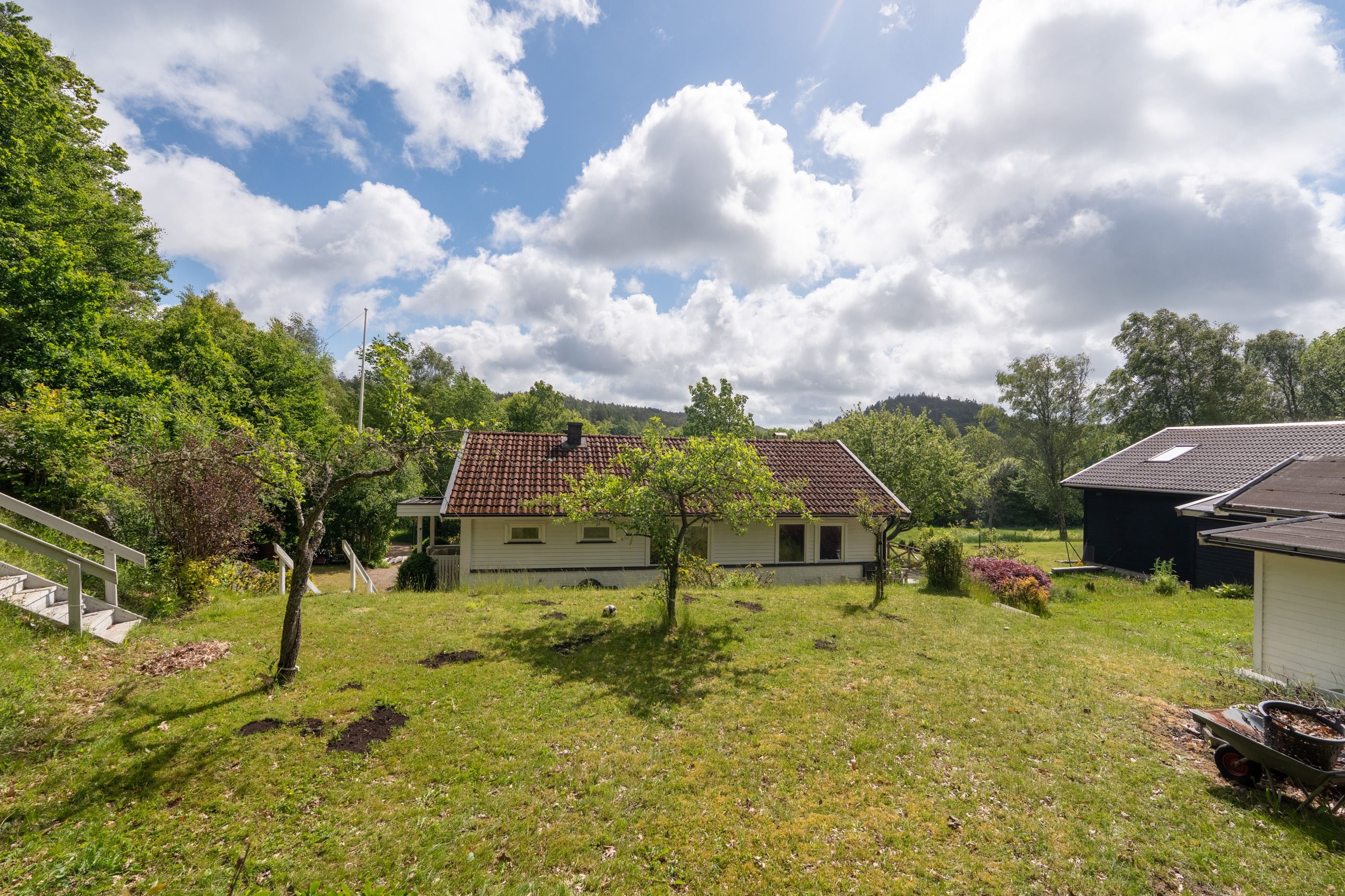 Exteriör